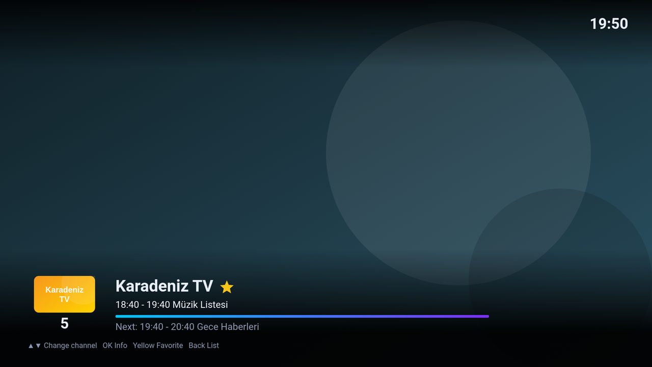 Full-screen playback